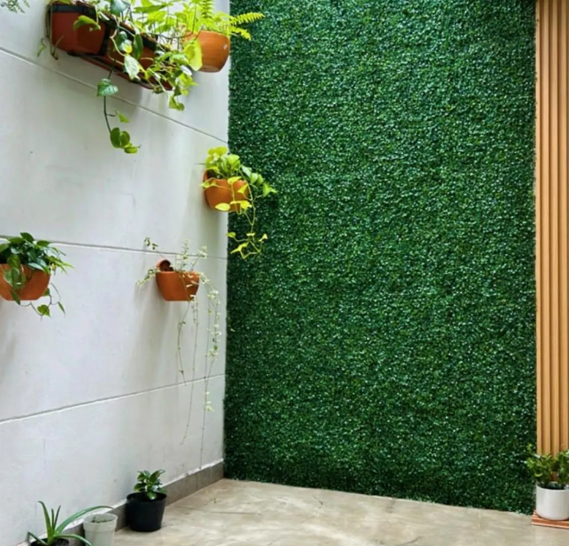 Pansiyon Raabta Tu Hogar - Raga Daire Medellín